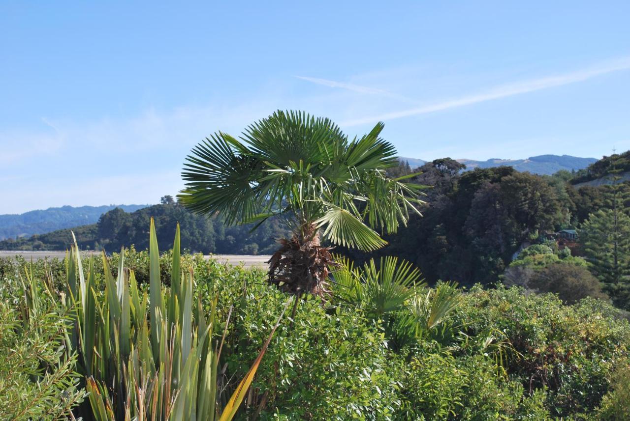 Beach Front:Palms-On-The-Beach.Kaiteriteri. Exterior foto